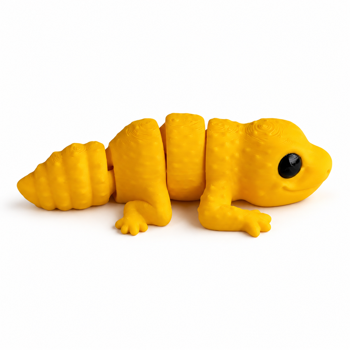 Gecko leopardo